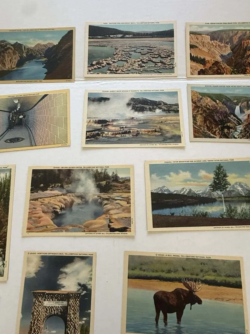 18 Vintage Yellowstone National Park Linen Postcards Unposted Old Faithful Wildl